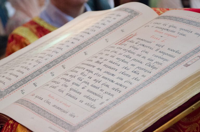 Божественная Литургия в Неделю шестую по Пасхе, о слепом